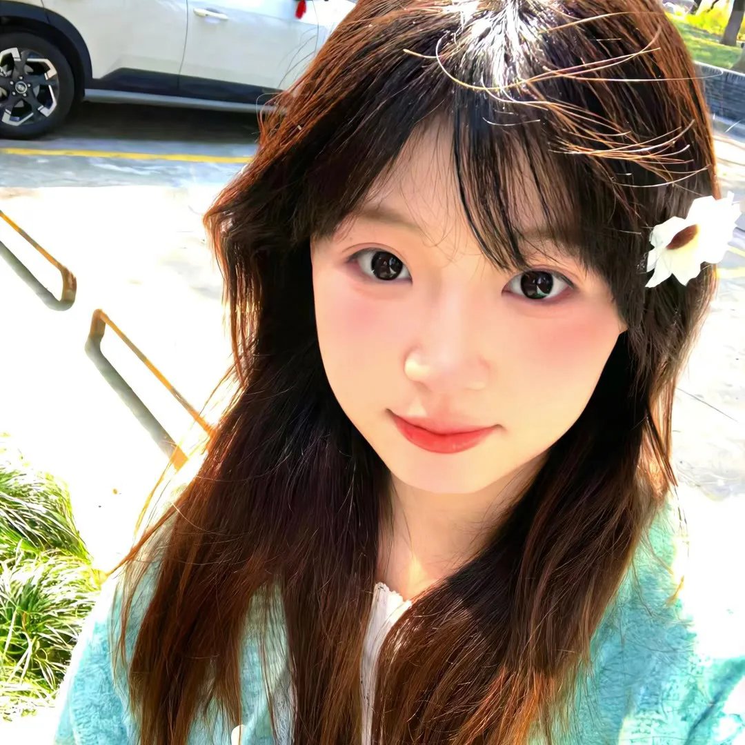 琴台春满 在线观看